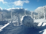 Schneeschuhwandern Neureoichenau Dreiländereck Schneeschuhtouren Bayerischer Wald Altreichenau Wegscheid