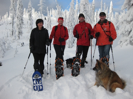 Hundeschneeschuhtour Bayerischer Wald Dreiessel Schneeschuhwanderung mit Hund Schneeschuhwandern Hund