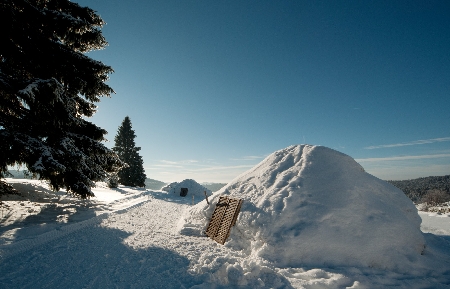 Igluübernachtunf Bayerwald Igludorf Bayerischer Wald Iglu