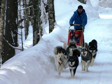 Bayerwald Expeditionen Schneeschuhwandern Neureichenau Igluübernachtung Bayerischer Wald Dreisessel