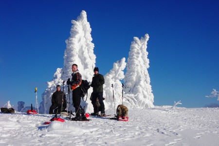 Schneeschuhwandern Arber Bodenmais  Zwiesel Mittagsplatzl Schneeschuhtouren Schneewandern Bretterschachten 