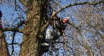 Monkey-Climbing Erlebnispädagogik Bayerischer Wald Jugendherberge Frauenberg Haidmühle 