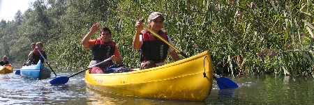 kanutour_kajaktour_canadiertour_inn_donau_rott_niederbayern.jpg