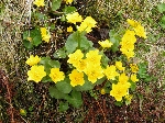 Wandern Wanderungen geführte Wandertouren Trekking ayeroscher Wald Wandern Wanderungen geführte Wandertouren Trekking ayeroscher Wald