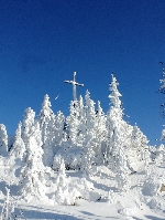 Dreisessel Dreiländereck Schneeschuhwandern Bayerischer Wald Schneeschuhtouren Schneeschuhlaufen