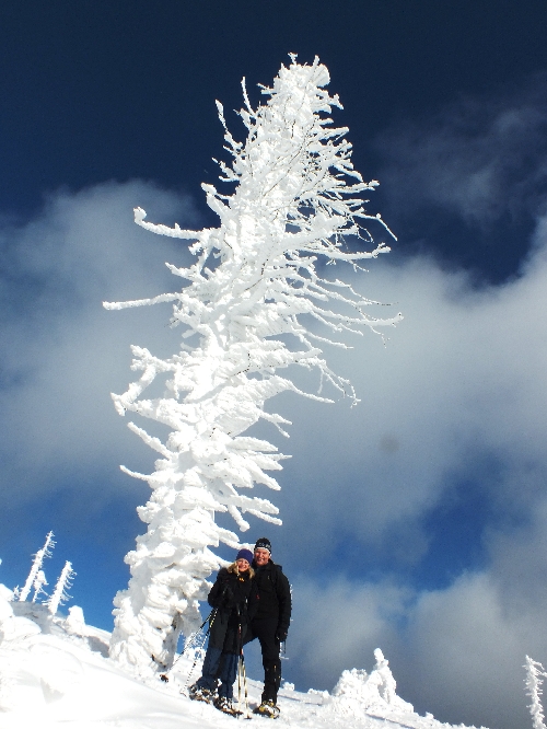 Schneeschuhwandern Schneeschuhwanderungen Dreiländereck Bayerischer Wald Schneeschuhtouren Dreisessel Lusen Arber Rachel