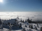 Dreiländereck Schneeschuhwandern Schneeschuhtouren Dreisessel Lusen Nationalpark Bayerischer Wald