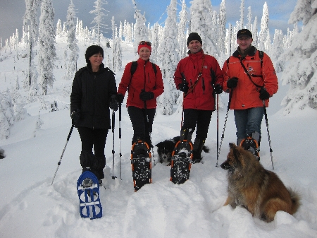 Hundeschneeschuhtour Bayericsher Wald Dreiessel Schneeschuhwanderung mit Hund Schneeschuhwandern Hund