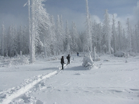 Schneeschuhwandern Tagestour Bayern Bayerischer Wald Schneeschuhtouren